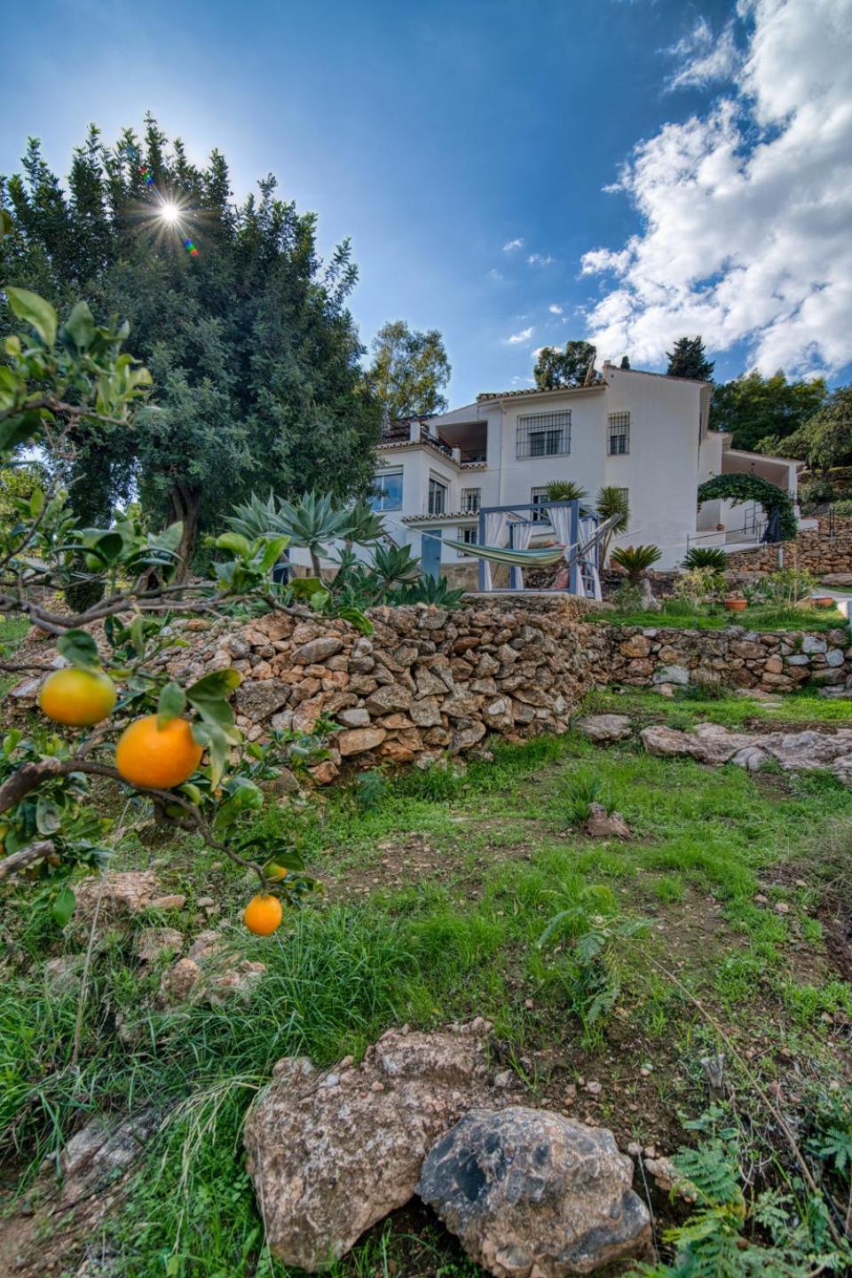 Villa Morera Bed & Breakfast Frigiliana Buitenkant foto